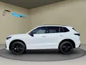 VW Tiguan 2.0 TSI DSG R-Line 4Motion