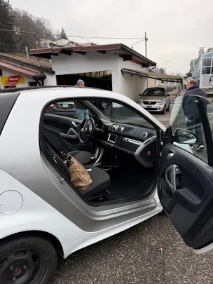 SMART fortwo pure mhd softouch