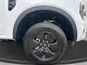 FORD Ranger DKab.Pick-up 2.3 EcoBoost 4x4 XLT PHEV