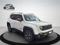 JEEP Renegade 2.0 MJ Trailhawk AWD + Low Range 9ATX