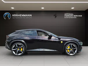 FERRARI PUROSANGUE ~