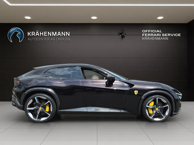 FERRARI PUROSANGUE ~
