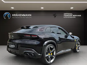 FERRARI PUROSANGUE ~