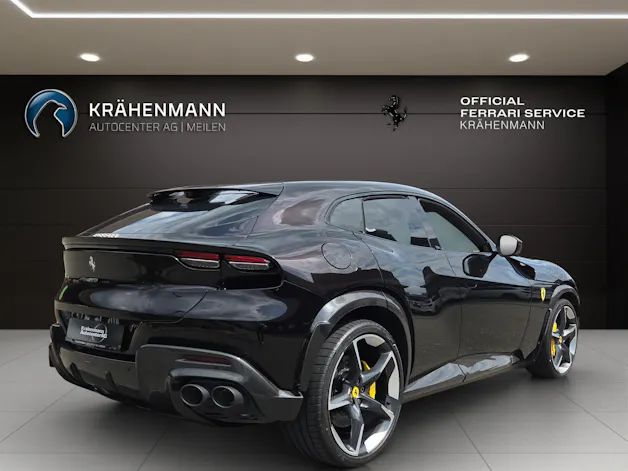 FERRARI PUROSANGUE ~
