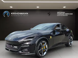 FERRARI PUROSANGUE ~