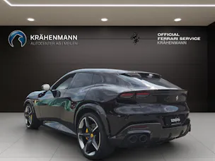 FERRARI PUROSANGUE ~