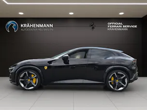 FERRARI PUROSANGUE ~