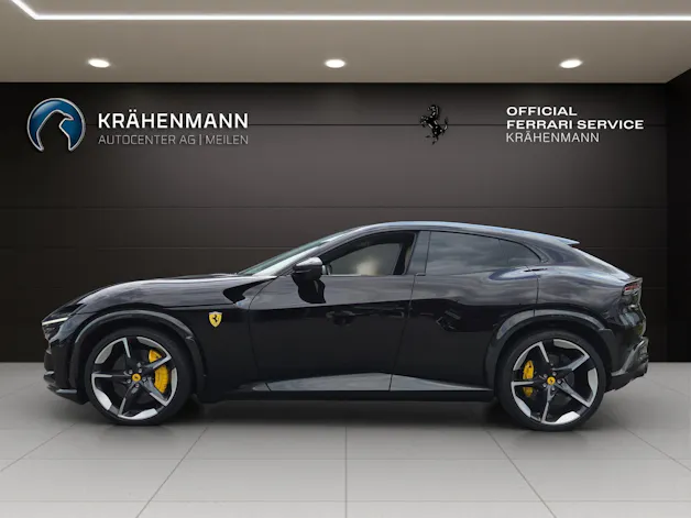 FERRARI PUROSANGUE ~