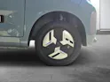 BAW Pony Electric