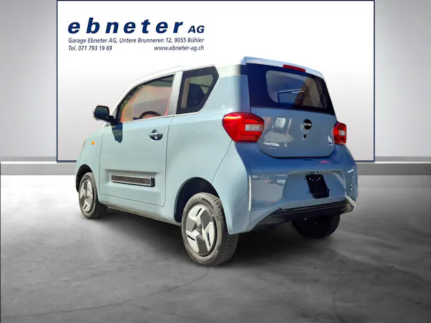 BAW Pony Electric