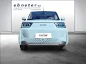 BAW Pony Electric