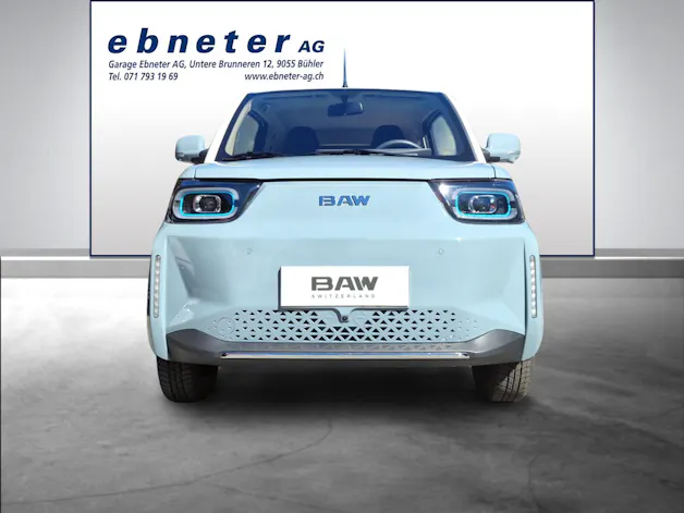 BAW Pony Electric