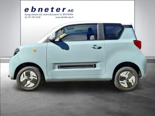 BAW Pony Electric