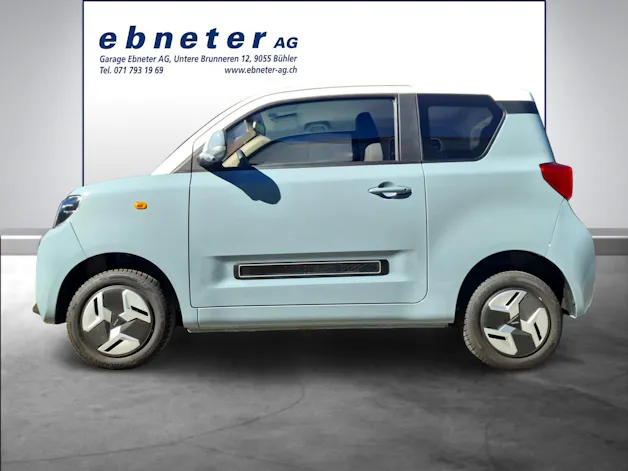 BAW Pony Electric
