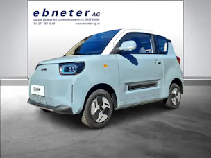 BAW Pony Electric