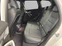 BMW X1 30e xDrive paddles