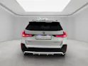 BMW X1 30e xDrive paddles