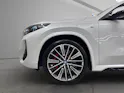 BMW X1 30e xDrive paddles