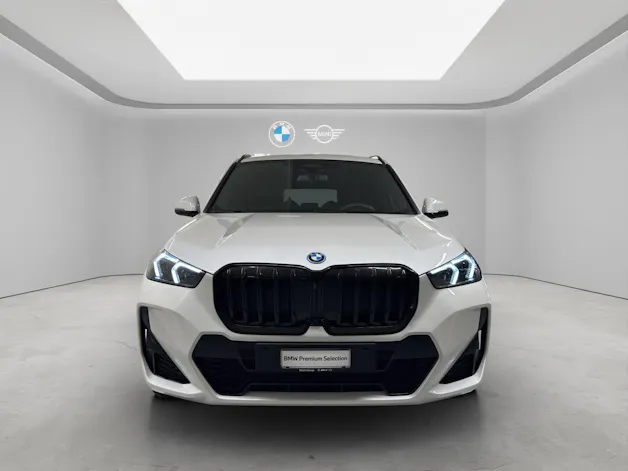 BMW X1 30e xDrive paddles