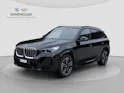 BMW X1 xDrive 30e M Sport