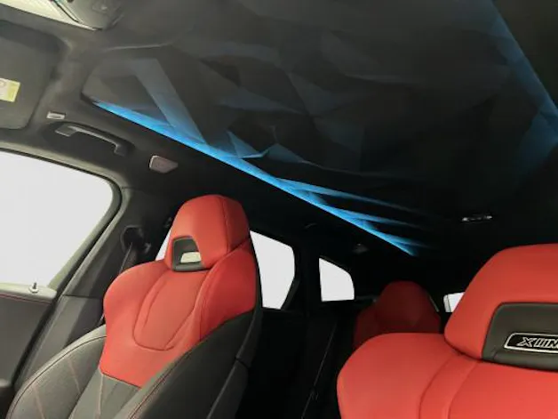 BMW XM xDrive PHEV Label