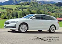 SKODA Octavia Combi 1.5 TSI mHEV DSG Selection *Anhängerkupplung+Garantie*