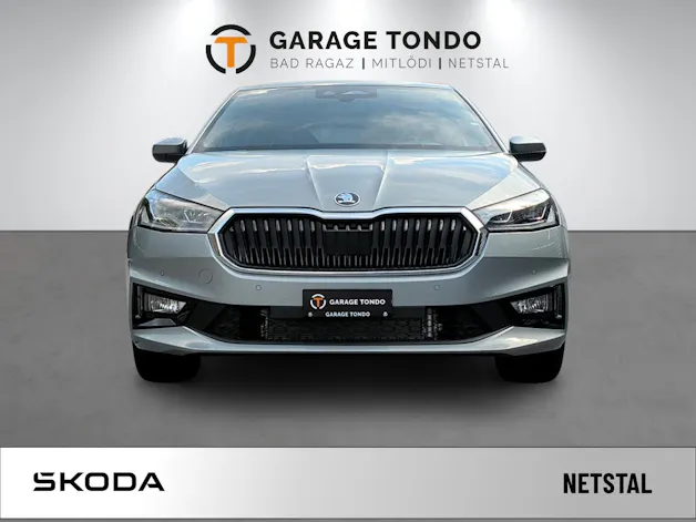 SKODA Fabia DY 1.0 TSI 115 PS 7DSG 1000ccm 115PS/85kW 3 Zylinder TSI EVO Benzin
