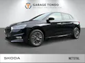 SKODA Fabia DY 1.0 TSI 115 PS 7DSG 1000ccm 115PS/85kW 3 Zylinder TSI EVO Benzin