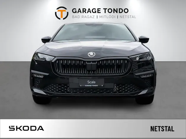 SKODA Scala DY 1.0 TSI 115 PS 7DSG 1000ccm 115PS/85kW 3 Zylinder TSI EVO Benzin