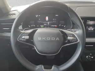 SKODA Kamiq 1.0 TSI Selection  Black DSG-Automat