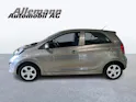 Kia Picanto 1.2 16V Trend
