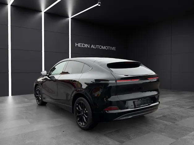 XPENG G6 Performance AWD