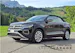 VW T-Roc Cabriolet 1.5 TSI EVO Style DSG *8-fach bereift+Rückfahrkamera
