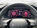 SKODA Octavia Combi 2.0 TSI DSG RS 30 Years Edition