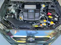 Subaru Levorg 1.6DIT Luxury S AWD Lineartronic ✅