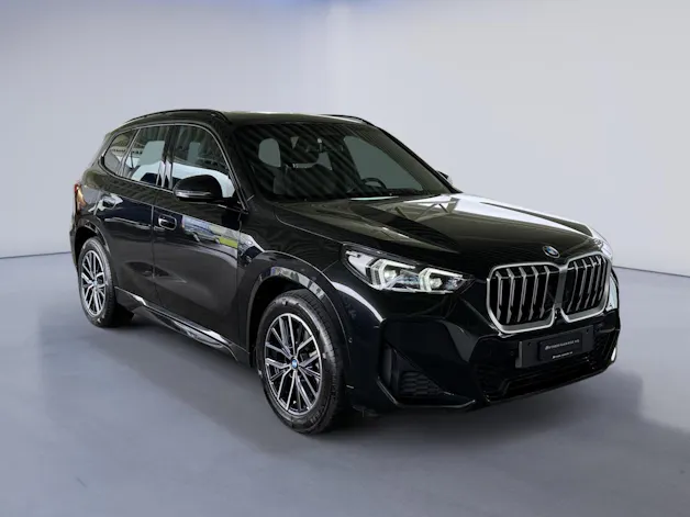 BMW X1 23i xDrive paddles