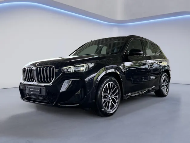 BMW X1 23i xDrive paddles