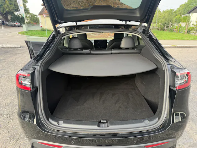 Tesla Model Y Performance
