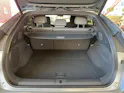 XPENG G6 	Performance AWD 4x4 *487PS* inkl. AHK elektrisch
