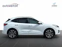 FORD Kuga 2.0 TDCi EcoBlue ST-Line X 4WD