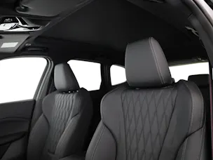 BMW X1 30e xDrive paddles