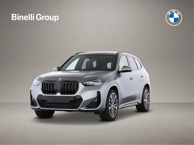 BMW X1 30e xDrive paddles