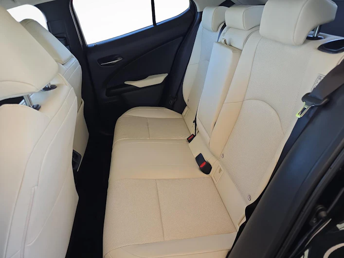 immagine del veicolo LEXUS UX
