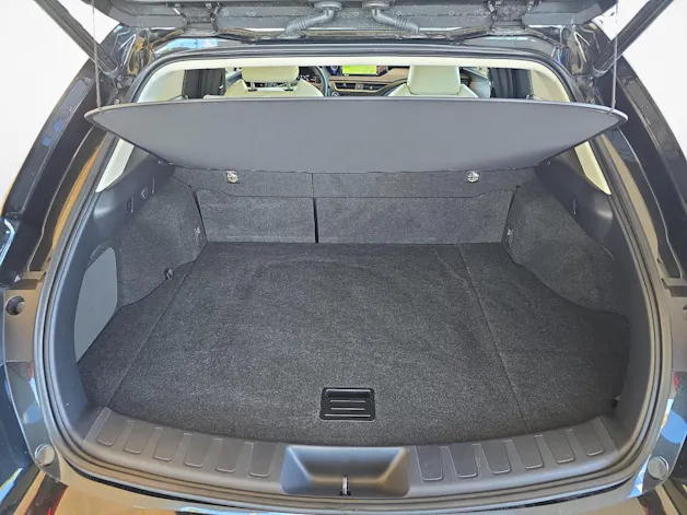 Lexus UX 250h Excellence