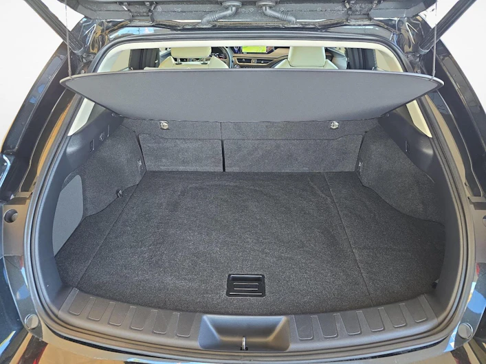 immagine del veicolo LEXUS UX