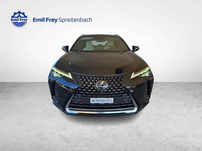 immagine del veicolo LEXUS UX
