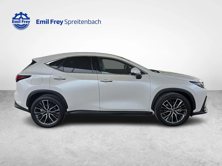 Fahrzeugbild LEXUS NX