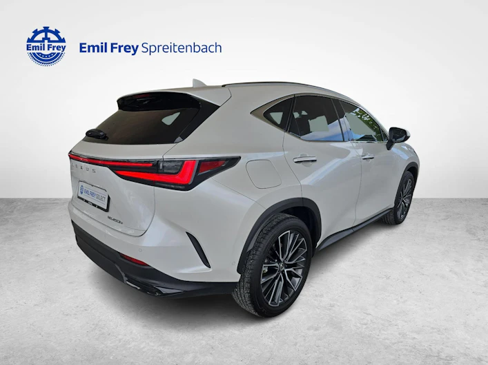 Fahrzeugbild LEXUS NX