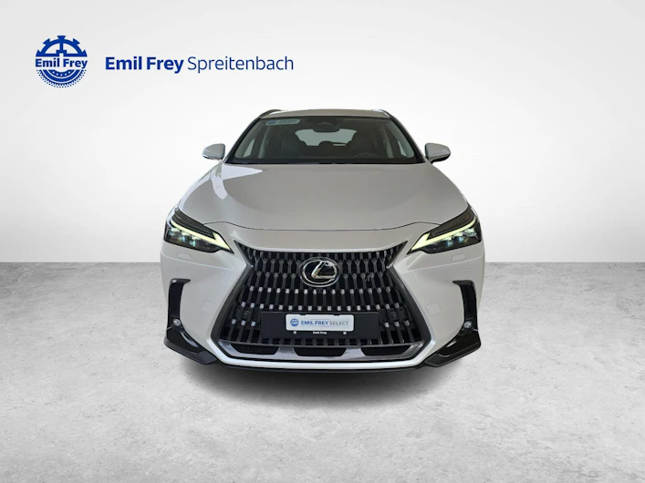 Fahrzeugbild LEXUS NX