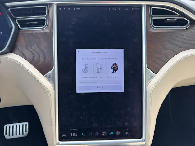 Tesla Model X 100 D